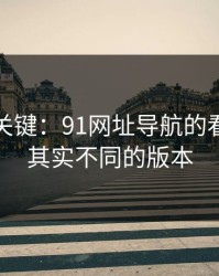 冷门但关键：91网址导航的看似重复其实不同的版本