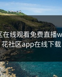 野花社区在线观看免费直播www，野花社区app在线下载
