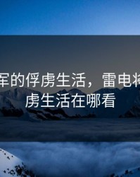 雷电将军的俘虏生活，雷电将军的俘虏生活在哪看