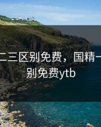 国精一二三区别免费，国精一二三区别免费ytb