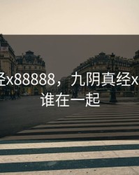 九阴真经x88888，九阴真经x88888和谁在一起