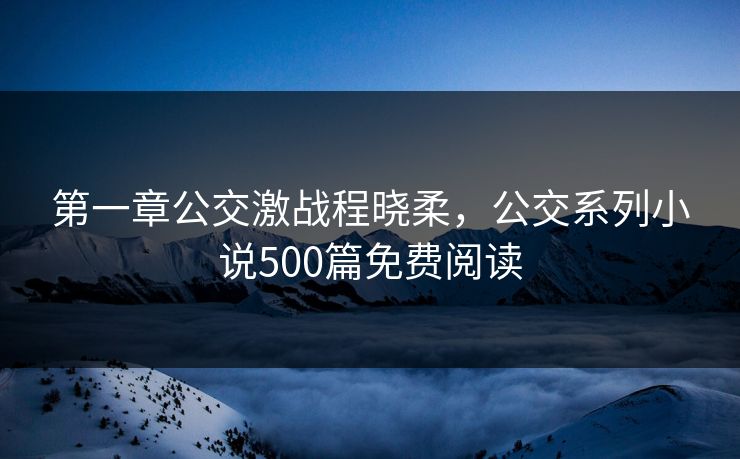 第一章公交激战程晓柔，公交系列小说500篇免费阅读