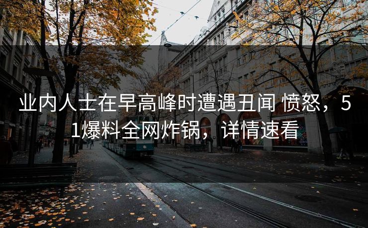 业内人士在早高峰时遭遇丑闻 愤怒，51爆料全网炸锅，详情速看