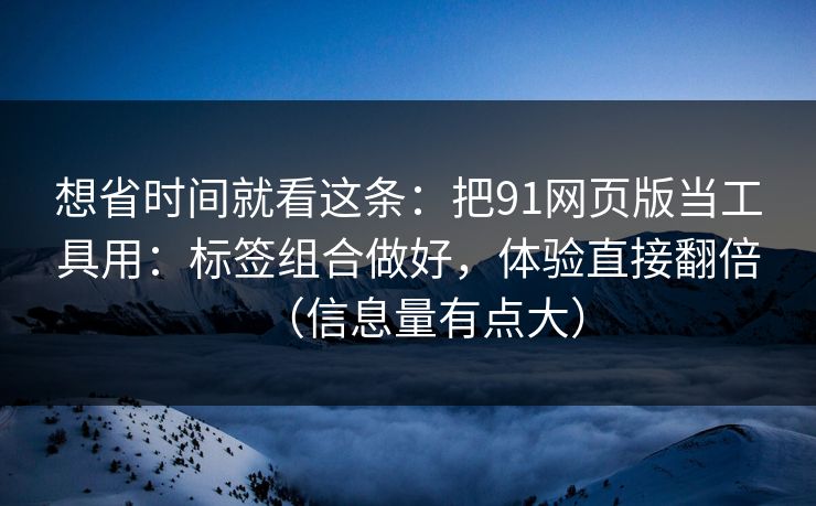 想省时间就看这条：把91网页版当工具用：标签组合做好，体验直接翻倍（信息量有点大）